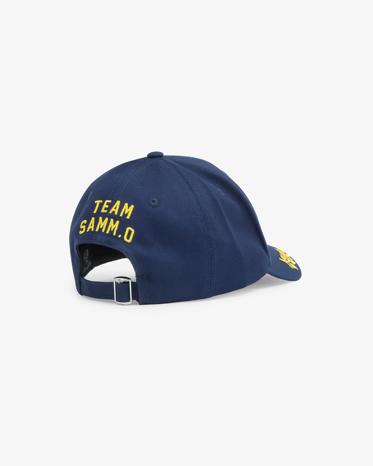 The SAMM.O Cap