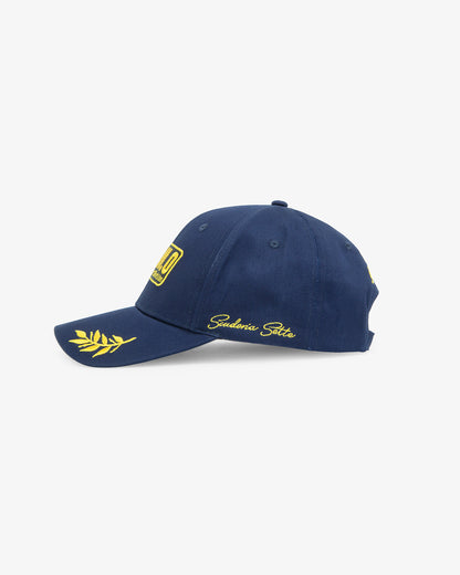 The SAMM.O Cap